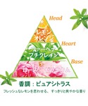 ハンドクリーム ロクシタン loccitane...の詳細画像5