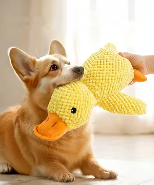 NOLITA LABORATORY 犬 おもちゃ 「 NOLITA / ノリータ 」犬用おもちゃ