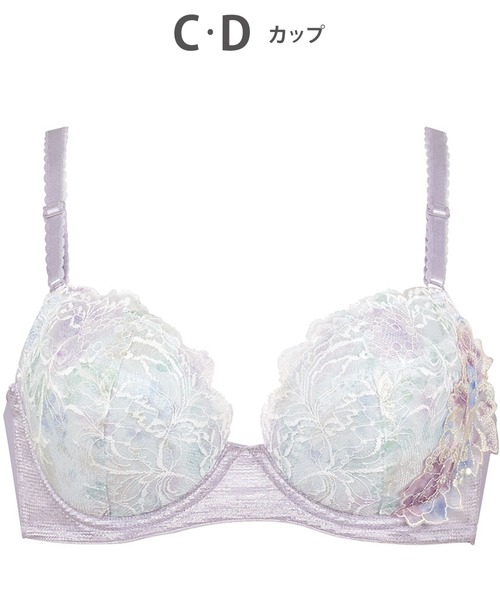 スキマフィット　フルセット Wing ブラジャー ブラジャー バストとカップのすきまにフィット