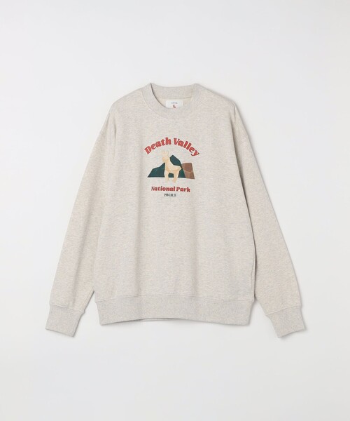 SHIPS any トレーナー スウェット 「WEB限定」SHIPS any: NATIONAL