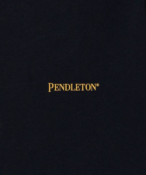 「PENDLETON」 半袖Tシャツ X-LARGE ミント メンズ_画像4