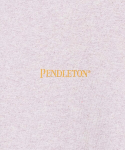 「PENDLETON」 半袖Tシャツ X-LARGE ミント メンズ_画像8