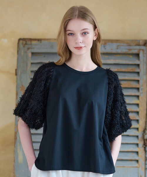 「DRESSTERIOR」 半袖カットソー 34 ブラック レディース