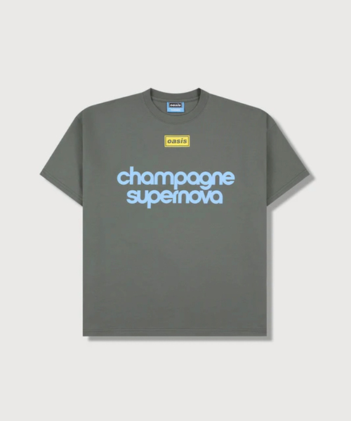 PLEASURES（プレジャーズ） tシャツ × OASIS NORDIQUE T-SHIRT メンズ 