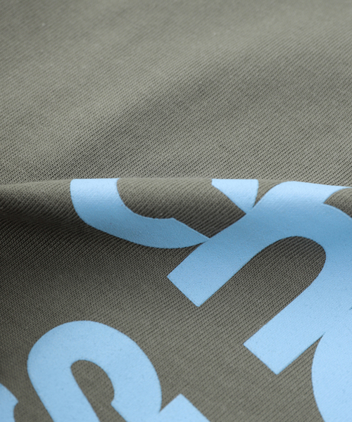 PLEASURES（プレジャーズ） tシャツ × OASIS NORDIQUE T-SHIRT メンズ 