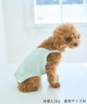 犬 服 「DOG」マルチボーダーキャミソールの詳細画像1