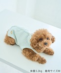 犬 服 「DOG」マルチボーダーキャミソールの詳細画像2
