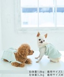 犬 服 「DOG」マルチボーダーキャミソールの詳細画像3