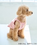 犬 服 「DOG」マルチボーダーキャミソールの詳細画像4