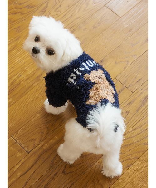 gelato pique（ジェラートピケ） 犬 服 「HOLIDAY」「CAT＆DOG