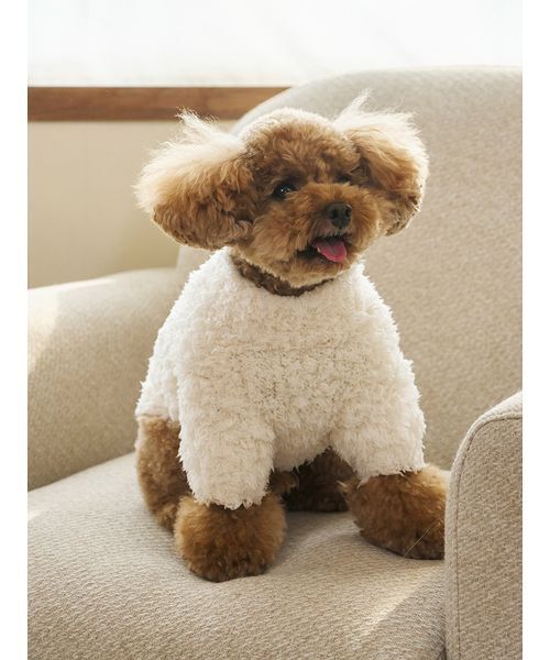 gelato pique（ジェラートピケ） 犬 服 「HOLIDAY」「CAT＆DOG