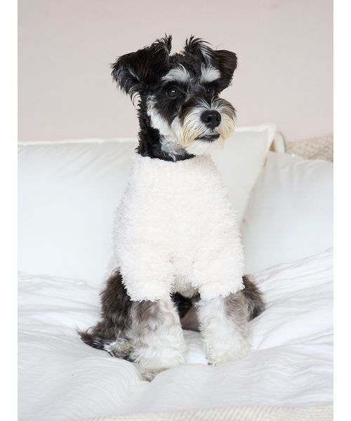 gelato pique（ジェラートピケ） 犬 服 「HOLIDAY」「CAT＆DOG