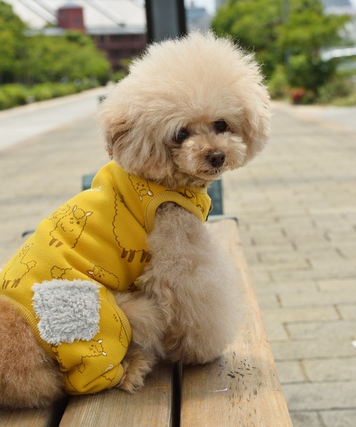 ペット Dulce ドゥルセ アルパカプリントつなぎ 犬服 ドッグウェア Zozotown Paypayモール店 通販 Paypayモール ペット Dulce ドゥルセ アルパカプリントつなぎ 犬服 ドッグウェア Zozotown Paypayモール店 通販 Paypayモール