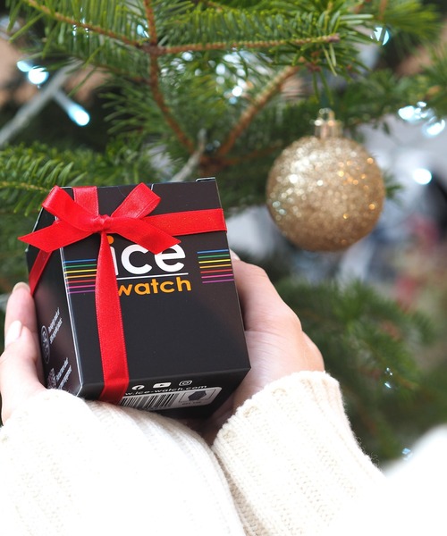 アイスウォッチ　クリスマス限定モデルです。 ICE WATCH 腕時計 「Ice-Watch アイスウォッチ」 ANY -スモール