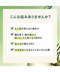 トリートメント ロクシタン loccitane...の詳細画像3