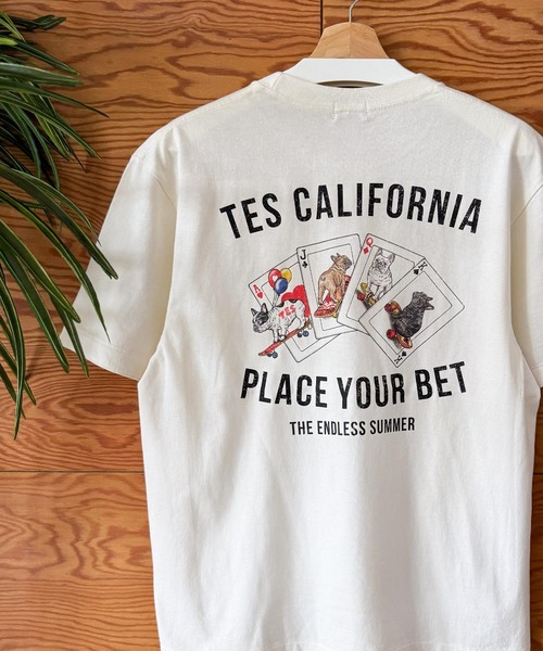 エンドレスサマー 40th アニバーサリーBOX 【Tシャツ未開封付き！！】 The Endless Summer（エンドレスサマー） tシャツ 「WEB / FLAG SHOP