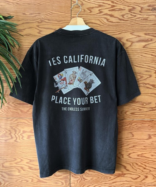 The Endless Summer（エンドレスサマー） tシャツ 「WEB / FLAG SHOP