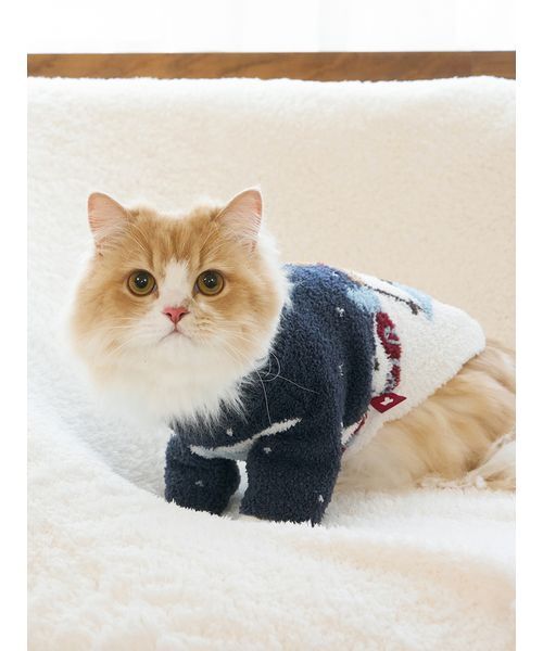 ☆新品☆ 激っ可愛ゎ♪BEAR/ ベア♡【特殊編みジャカード・ニットわんぴー❕】 BEARジャカードニット≪手洗い可能≫ | MAYSON GREY（Women