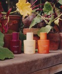 香水 jo malone london 「数量...の詳細画像4