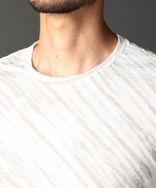 NICOLE CLUB FOR MEN（ニコルクラブフォーメン） tシャツ ゼブラ柄