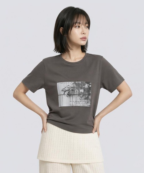 LEPSIM（レプシィム） tシャツ 半袖 HorseプリントT 668101 レディース