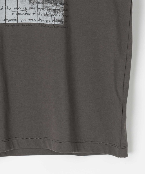 LEPSIM（レプシィム） tシャツ 半袖 HorseプリントT 668101 レディース