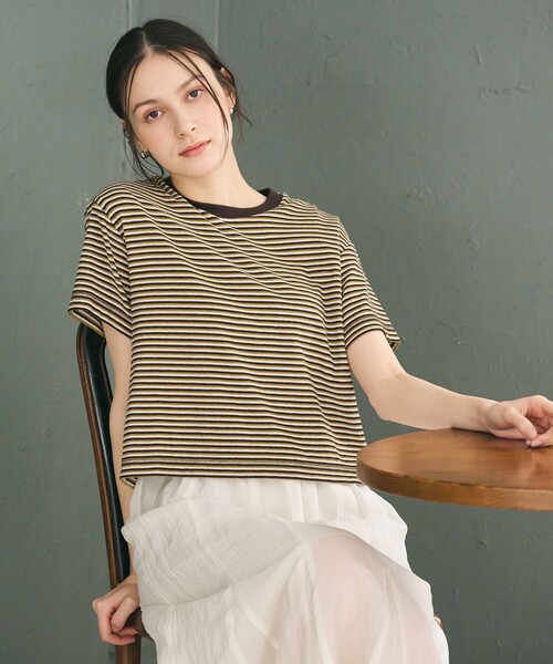 tシャツ コットン パイルボーダー ショートスリーブ Tシャツ レディースの画像