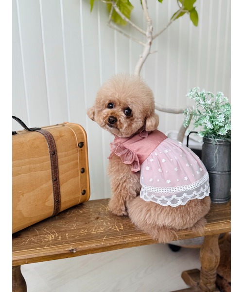 TONE（トネ） 犬 服 「minimo」シースルーワンピース/犬服(ドッグ