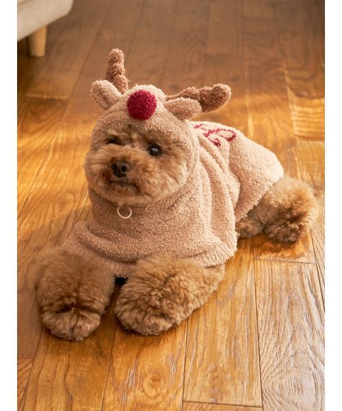 ジェラピケ gelatopique クリスマス サンタ トナカイ 犬服 gelato pique（ジェラートピケ） 犬 服 「HOLIDAY」「CAT＆DOG