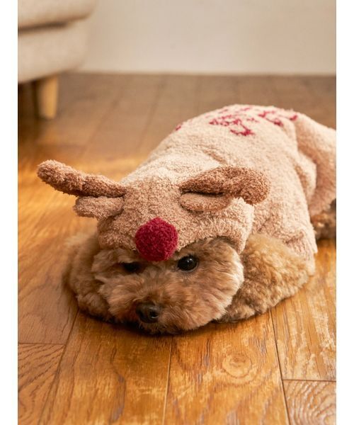 gelato pique（ジェラートピケ） 犬 服 「HOLIDAY」「CAT＆DOG