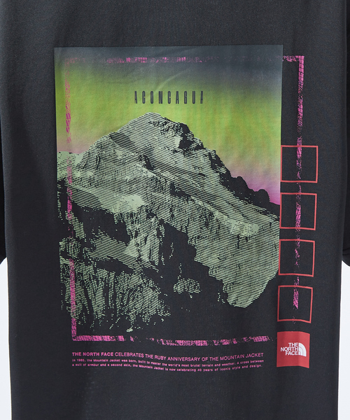 THE NORTH FACE tシャツ 「THE FACE」フラッシュドライセブン