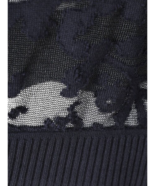 ベスト ジレ mizuiro ind メッシュ刺繍ショートベスト レディースの画像