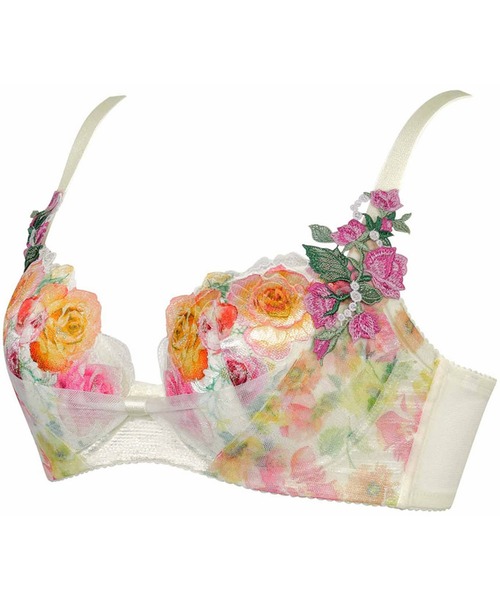 ブラ ブラジャー）（ D60 D65 D70 D75 D80 ） -クローゼット