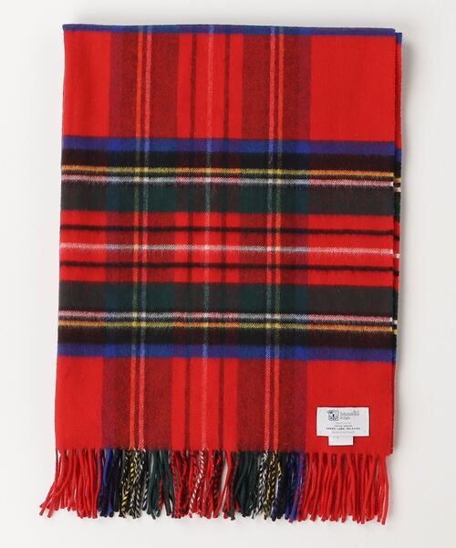 神 ファズ フランス製 ファズの神” スコット・ホリデーが足を踏み入れ