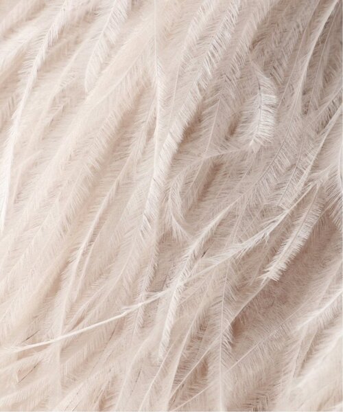 VERMEIL par iena（ヴェルメイユパーイエナ） ブローチ オーストリッチ