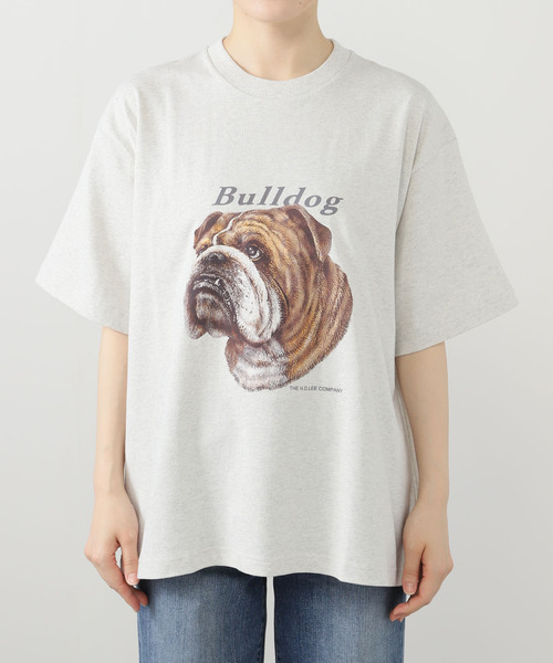 tシャツ LEE/リー ブルドッグ プリントTEE LT3195 レディース