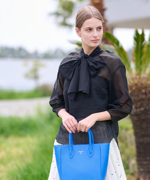 DRESSTERIOR（ドレステリア） 長袖シャツ 36 サックスブルー