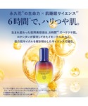 美容液 オイル クリーム ロクシタン locc...の詳細画像1