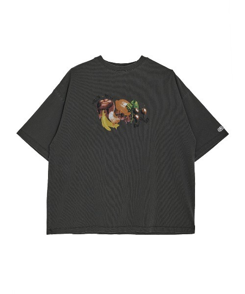 FRUIT OF THE LOOM（フルーツオブザルーム） tシャツ × Ameri MELT
