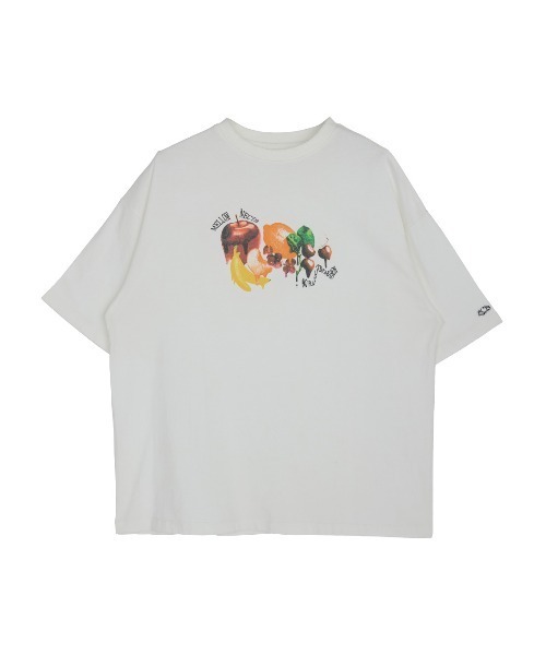 FRUIT OF THE LOOM 動物柄 Tシャツ Mサイズ FRUIT OF THE LOOM（フルーツオブザルーム） tシャツ × Ameri MELT