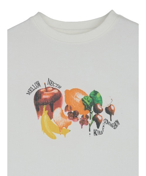 FRUIT OF THE LOOM（フルーツオブザルーム） tシャツ × Ameri MELT