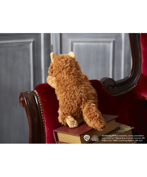 THE BAREFOOT 「 Harry Potter / ハリー・ポッター 」 あそんで