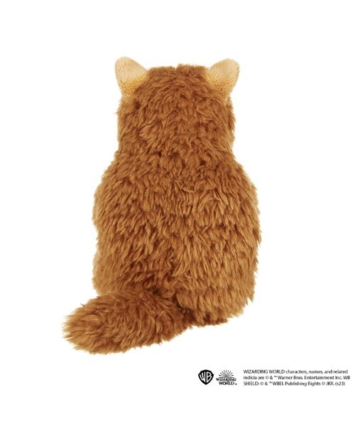 THE BAREFOOT 「 Harry Potter / ハリー・ポッター 」 あそんで