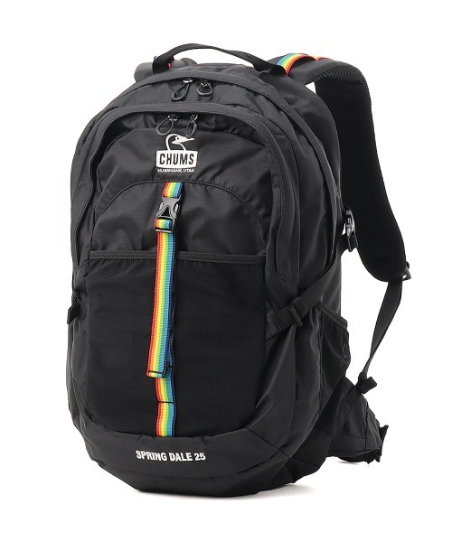 [チャムス] タウンリュック・ビジネスリュック Spring Dale 25 II ブラック Free Size CHUMS（チャムス） デイバック リュック Spring Dale 25 メンズ
