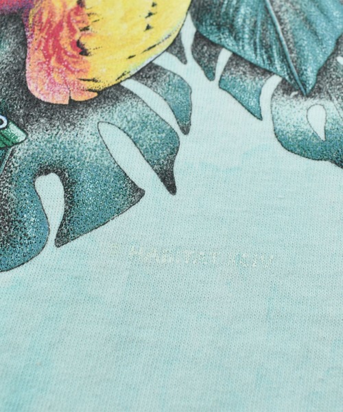 VINTAGE tシャツ 「ヴィンテージ古着」90's Skimmers “WAKE UP TO THE