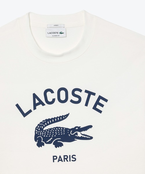 【LACOSTE】アーチネームカレッジロゴTシャツ LACOSTE tシャツ ヘビーウェイト アーチネームカレッジロゴ