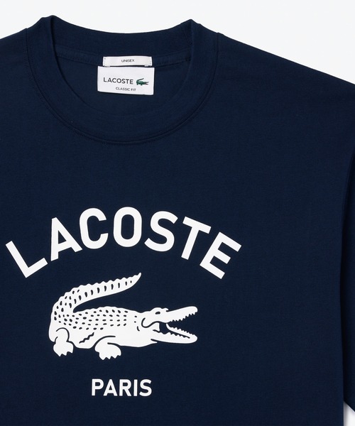 LACOSTE tシャツ ヘビーウェイト アーチネームカレッジロゴ