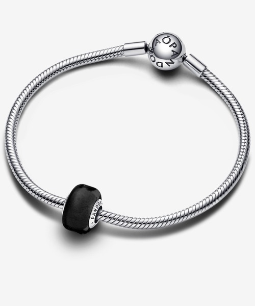「Pandora」 チャーム FREE シルバー レディース_画像9