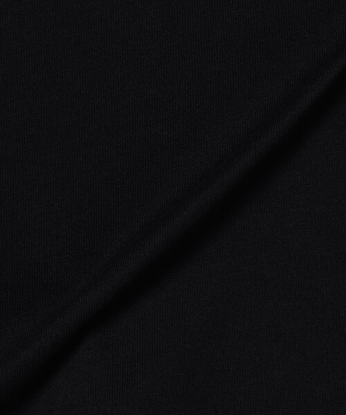 ノースフェイス tシャツ 限定展開 THE NORTH FACE/ザ・ノース・フェイス ショートスリーブバックスクエアトラバースロゴティー（メンズ）の画像