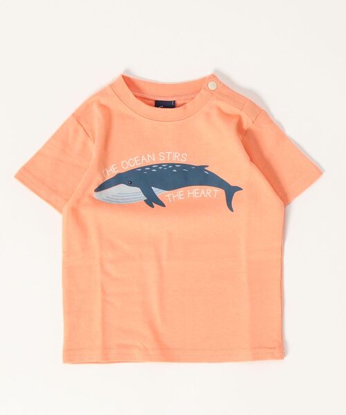 Crescent tシャツ 海の生き物プリント半袖Tシャツ キッズ 子供